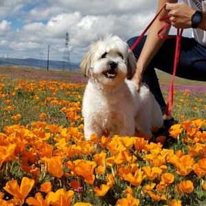 Meet your Posher, Edwin